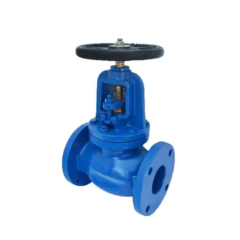 Globe Valve
